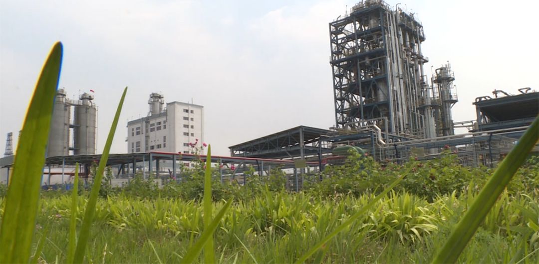 /ueditor/jsp/upload/image/20200310/1583799837368084970.jpg /ueditor/jsp/upload/image/20200310/1583799837368084970.jpg